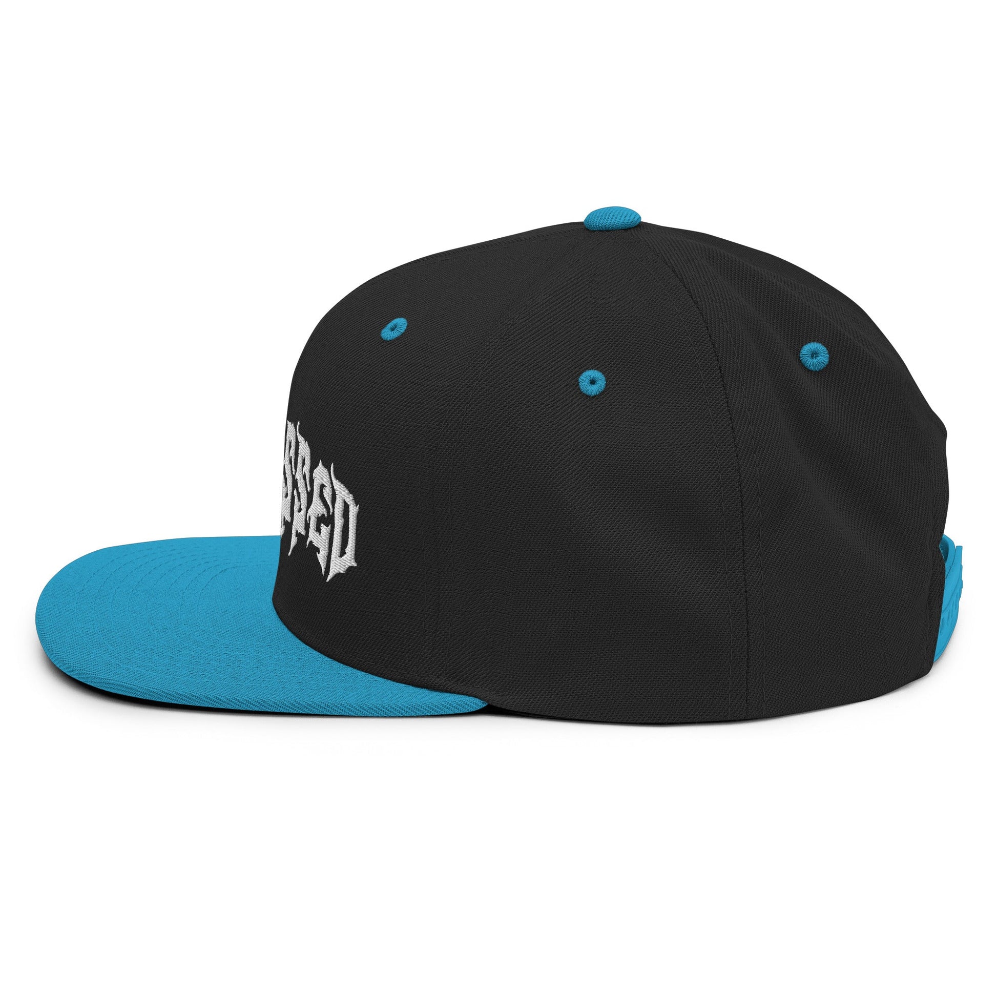 Bleghssed Snapback Hat - Blegh Hats